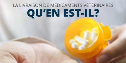 livraison_médicaments (1)